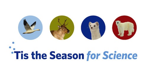 Tis-the-season-for-science